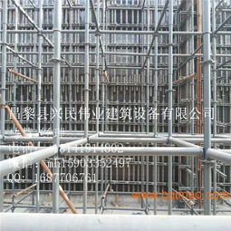 天津地區(qū)房屋建筑施工專用承重墻模板支撐結(jié)構(gòu) 廠家選擇與價(jià)格分析